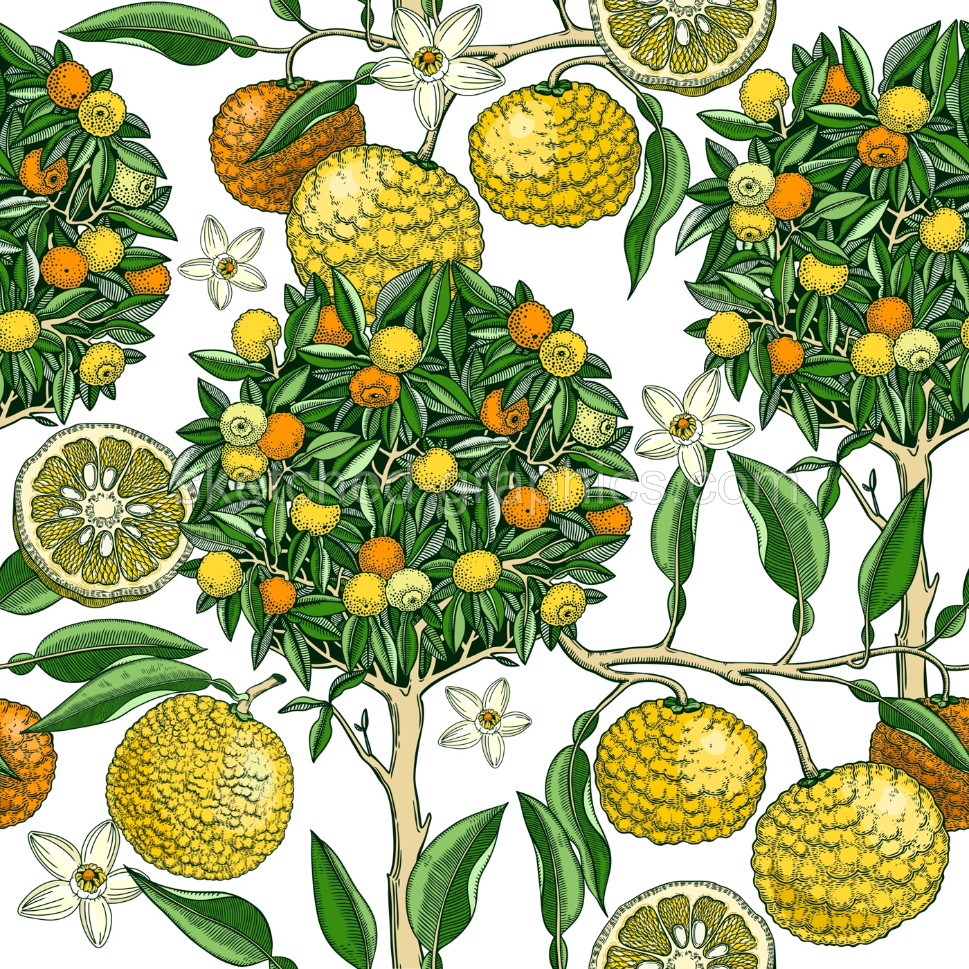 Hand-drawn yuzu tree background design in color. Vintage citrus branches, flowers, leaves whole fruit, cut half-piece sketches. Seamless healthy food pattern. Exotic plant illustration for print Illustration